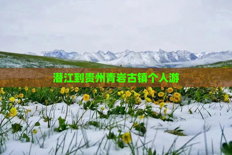 潜江到贵州青岩古镇个人游