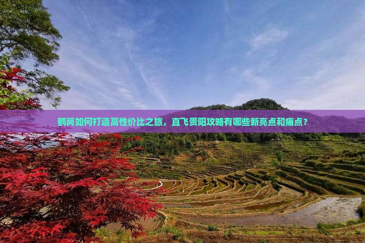 鹤岗如何打造高性价比之旅，直飞贵阳攻略有哪些新亮点和痛点？