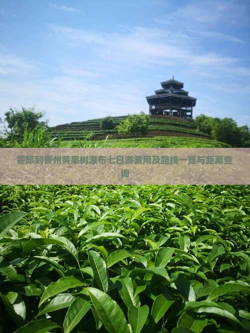 霍邱到贵州黄果树瀑布七日游费用及路线一览与距离查询