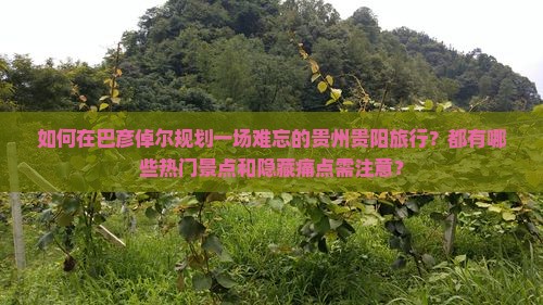 如何在巴彦倬尔规划一场难忘的贵州贵阳旅行？都有哪些热门景点和隐藏痛点需注意？