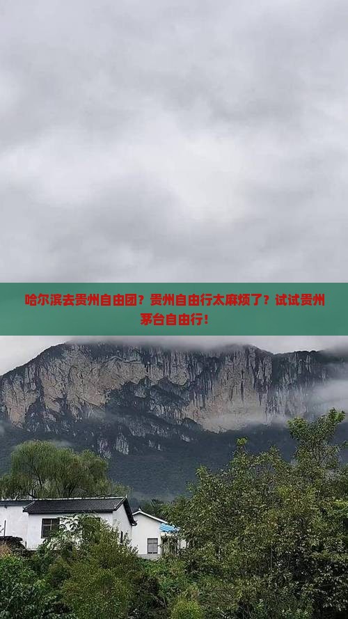 哈尔滨去贵州自由团？贵州自由行太麻烦了？试试贵州茅台自由行！