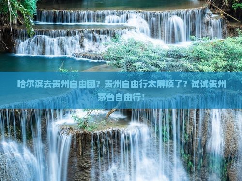 哈尔滨去贵州自由团？贵州自由行太麻烦了？试试贵州茅台自由行！