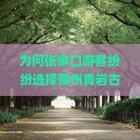 为何张家口游客纷纷选择贵州青岩古镇？大型旅游团背后隐藏哪些痛点和热词？