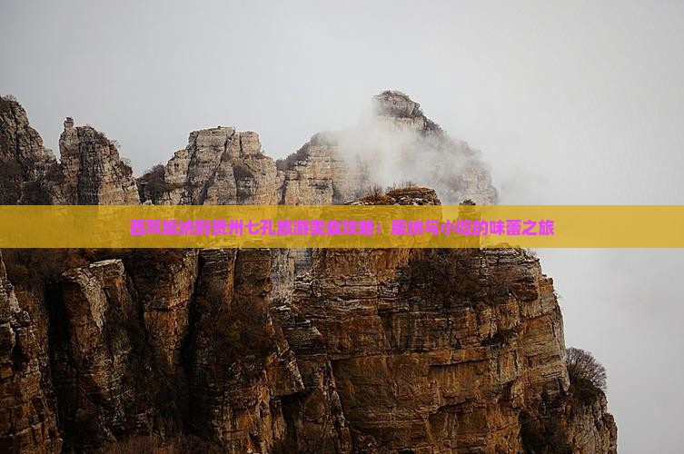 西双版纳到贵州七孔旅游美食攻略：版纳与小吃的味蕾之旅