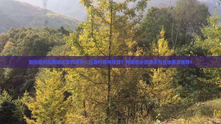 如何规划从桐城出发的贵州七日游行程与预算？有哪些必游景点与当地美食推荐？