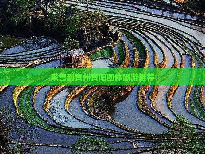 东营到贵州贵阳团体旅游推荐