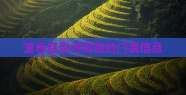 宜春至贵州贵阳的门票信息