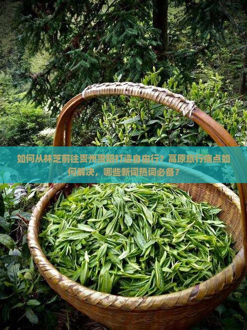 如何从林芝前往贵州贵阳打造自由行？高原旅行痛点如何解决，哪些新词热词必备？