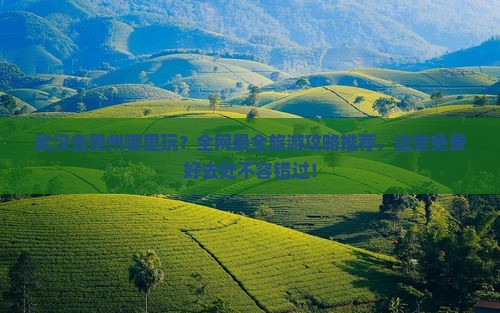 武汉去贵州哪里玩？全网最全旅游攻略推荐，这些免费好去处不容错过！