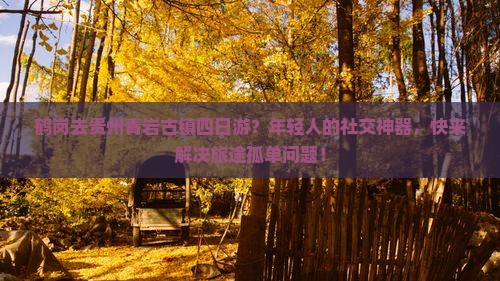 鹤岗去贵州青岩古镇四日游？年轻人的社交神器，快来解决旅途孤单问题！