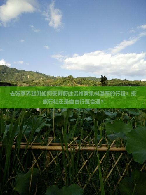 去张家界旅游如何安排前往贵州黄果树瀑布的行程？报旅行社还是自由行更合适？