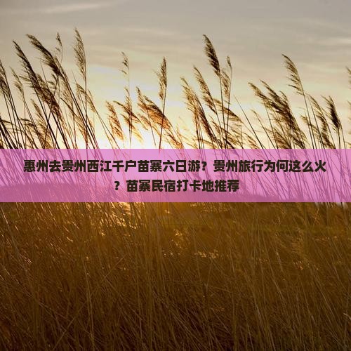 惠州去贵州西江千户苗寨六日游？贵州旅行为何这么火？苗寨民宿打卡地推荐