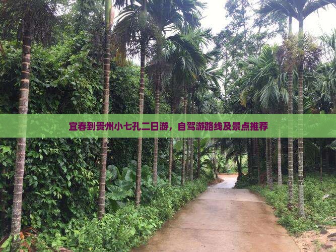 宜春到贵州小七孔二日游，自驾游路线及景点推荐