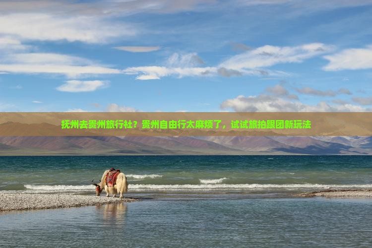 抚州去贵州旅行社？贵州自由行太麻烦了，试试旅拍跟团新玩法