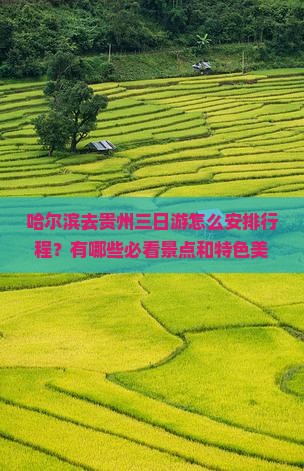 哈尔滨去贵州三日游怎么安排行程？有哪些必看景点和特色美食？