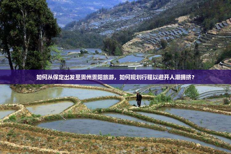 如何从保定出发至贵州贵阳旅游，如何规划行程以避开人潮拥挤？
