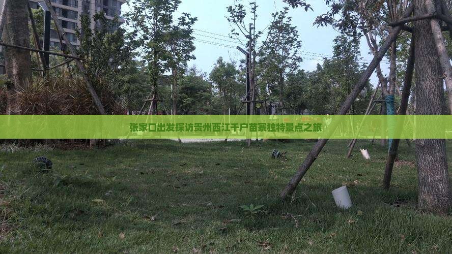 张家口出发探访贵州西江千户苗寨独特景点之旅