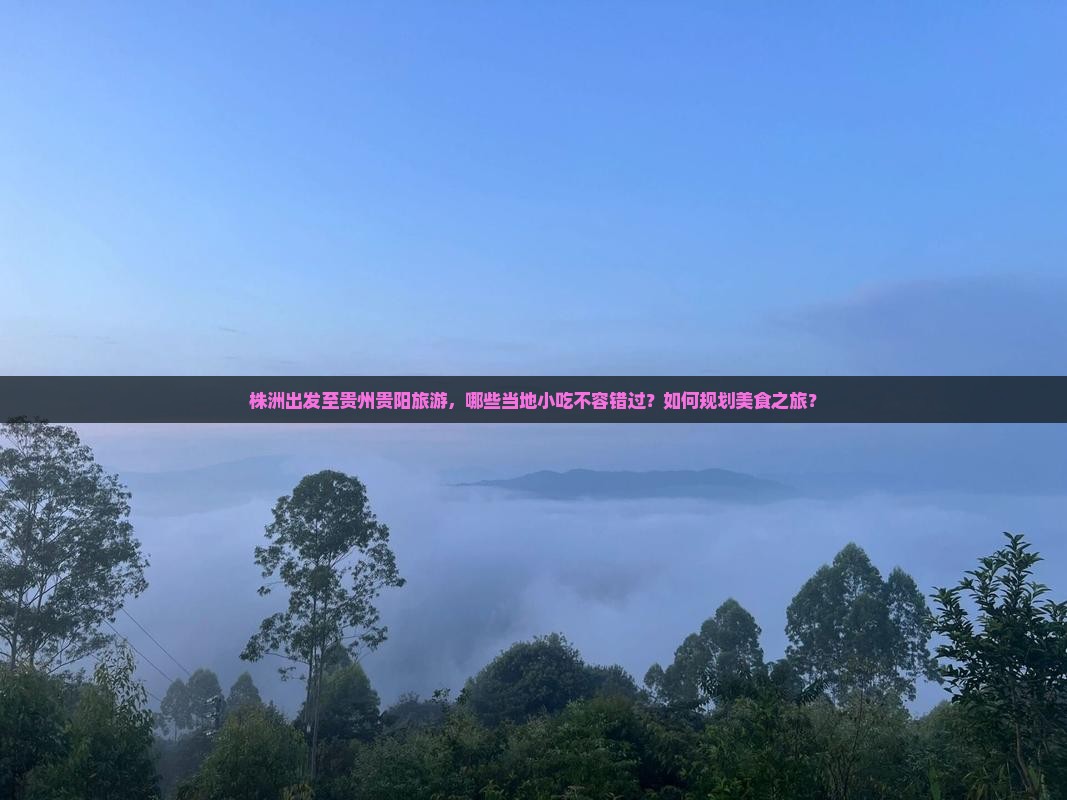 株洲出发至贵州贵阳旅游，哪些当地小吃不容错过？如何规划美食之旅？