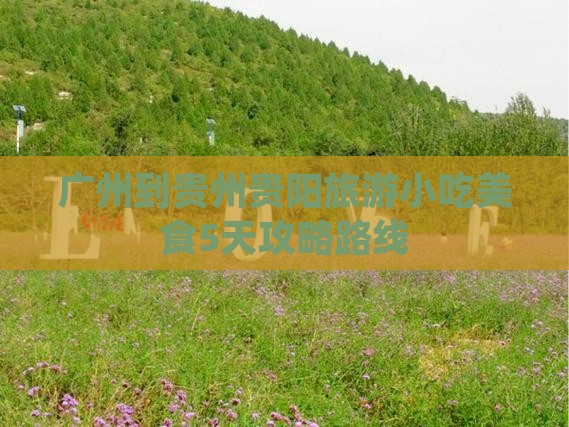 广州到贵州贵阳旅游小吃美食5天攻略路线