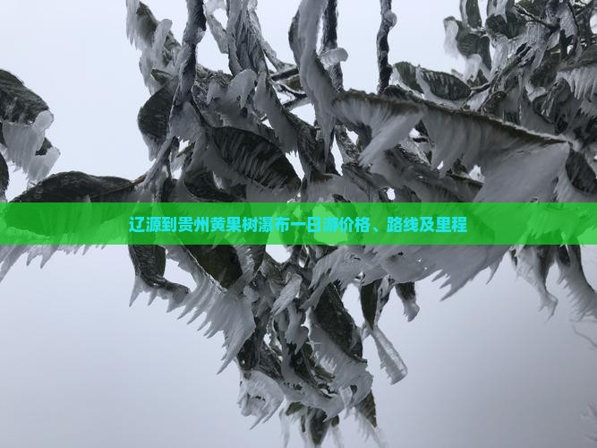 辽源到贵州黄果树瀑布一日游价格、路线及里程