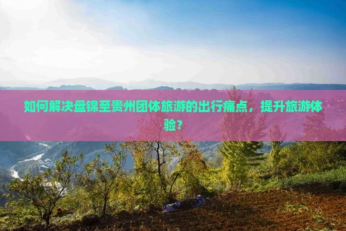 如何解决盘锦至贵州团体旅游的出行痛点，提升旅游体验？