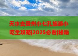 天水去贵州小七孔旅游小吃
