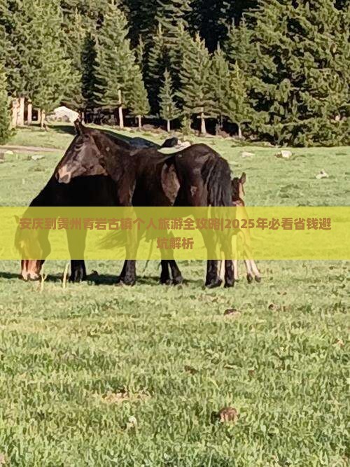安庆去贵州青岩古镇个人游