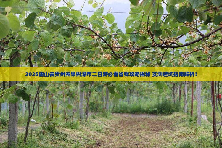 唐山去贵州黄果树瀑布二日游