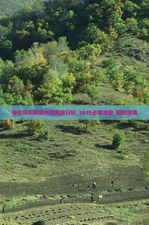 呼伦贝尔到贵州贵阳旅行社