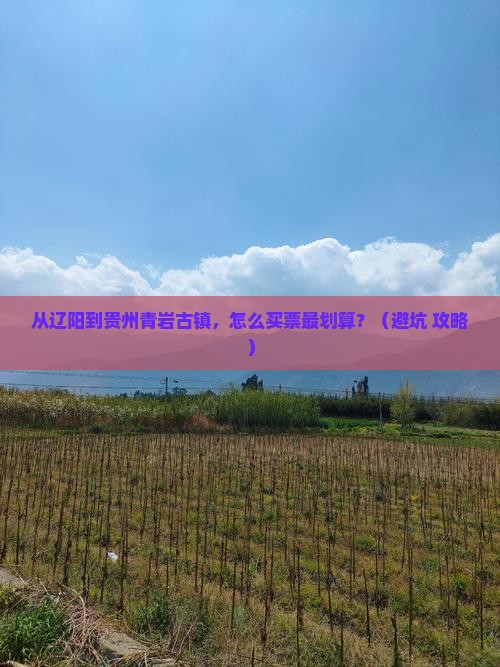 辽阳到贵州青岩古镇门票