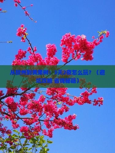钦州去贵州黄果树瀑布自由行 钦州去贵州黄果树瀑布自由行