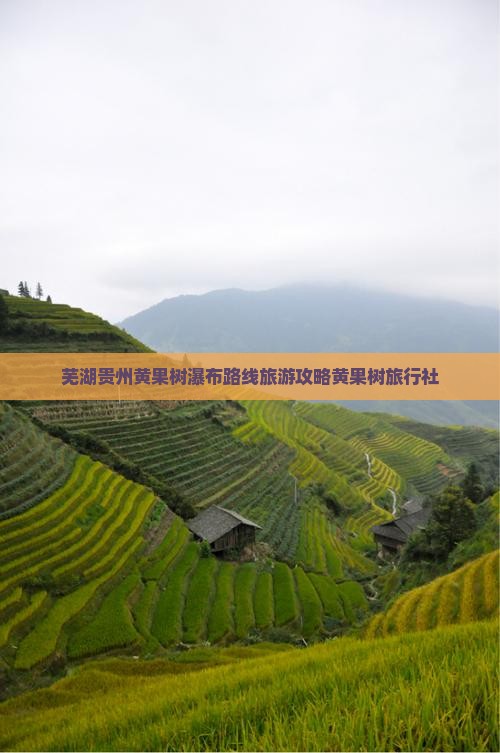 芜湖去贵州黄果树瀑布旅行社