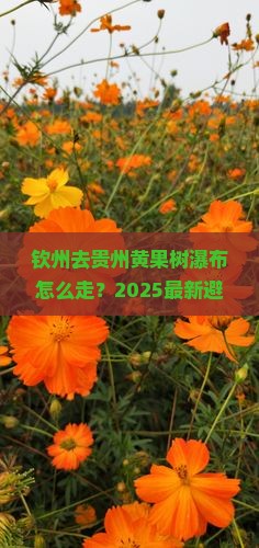 钦州去贵州黄果树瀑布攻略