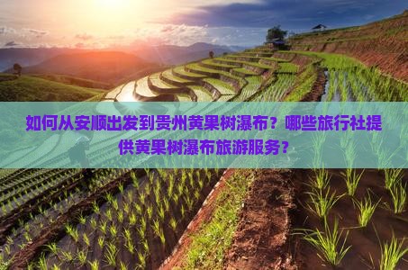 如何从安顺出发到贵州黄果树瀑布？哪些旅行社提供黄果树瀑布旅游服务？
