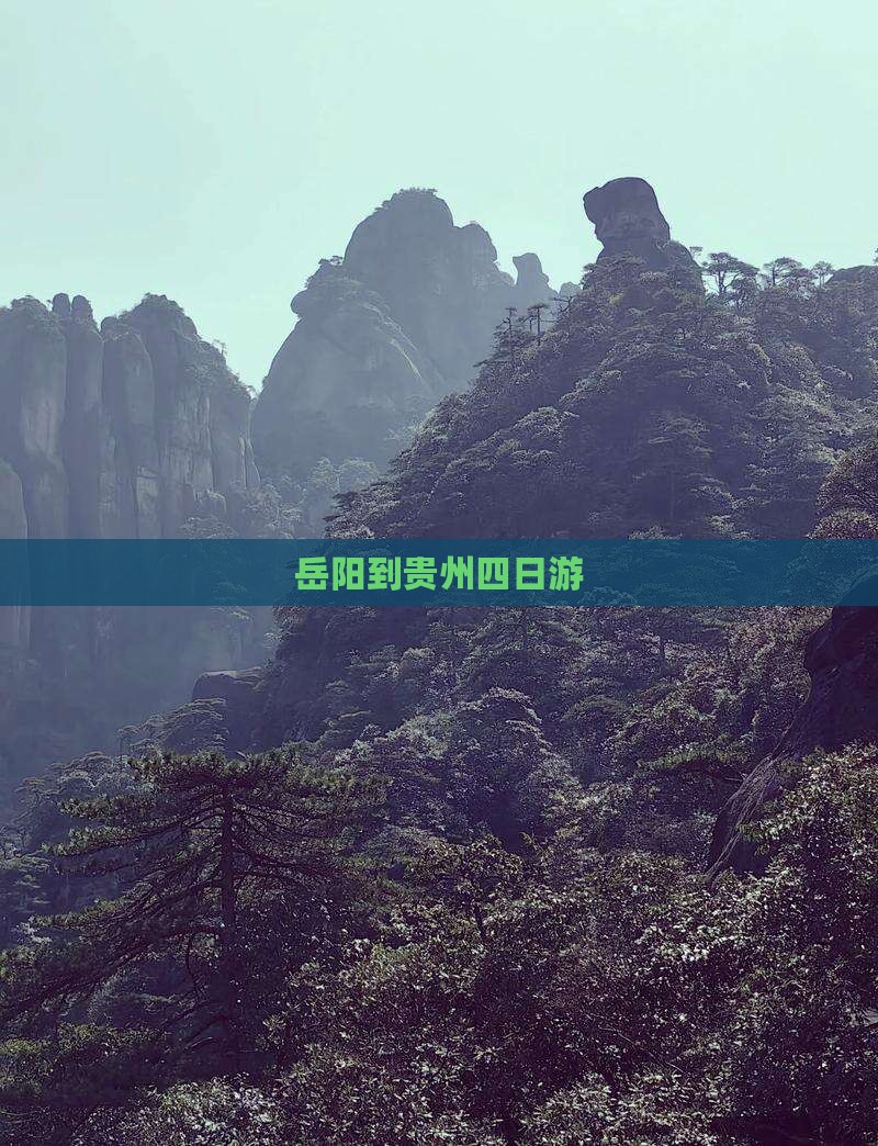 岳阳到贵州四日游