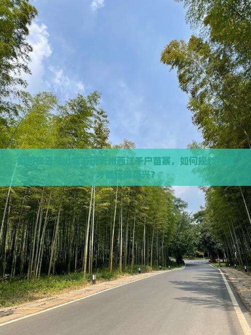 如何在云浮出发游玩贵州西江千户苗寨，如何规划行程才能玩得尽兴？