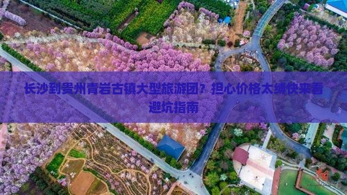 长沙到贵州青岩古镇大型旅游团？担心价格太缚快来看避坑指南