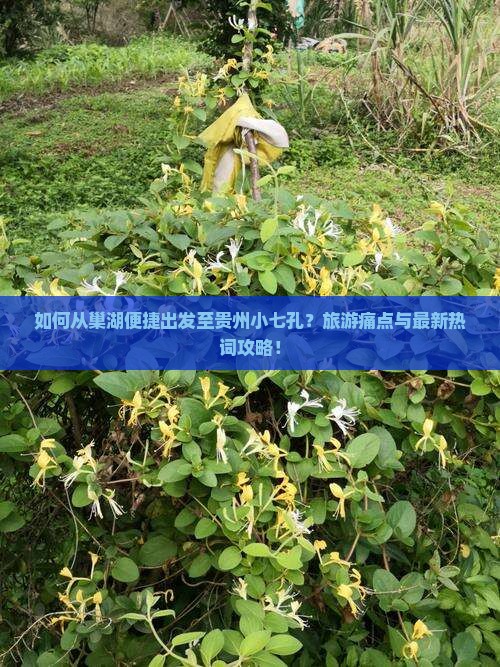 如何从巢湖便捷出发至贵州小七孔？旅游痛点与最新热词攻略！