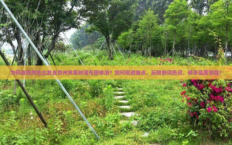 为何选择茂名出发去贵州黄果树瀑布团体游？如何规避痛点，玩转新词热词，畅享品质旅程？