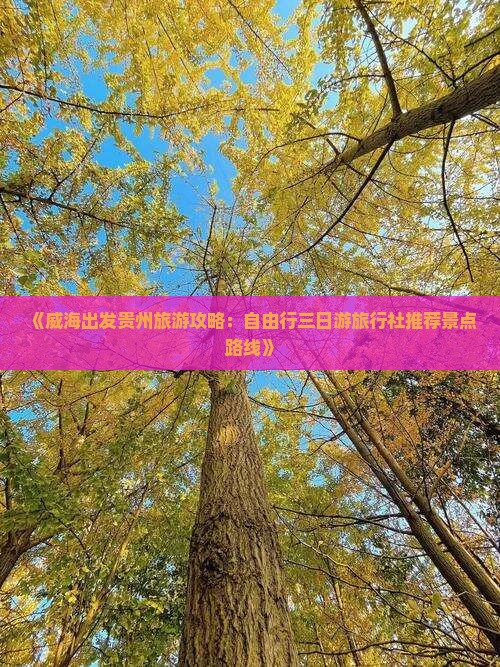 《威海出发贵州旅游攻略：自由行三日游旅行社推荐景点路线》