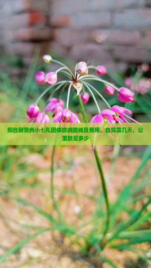 邢台到贵州小七孔团体旅游路线及费用，自驾需几天，公里数是多少