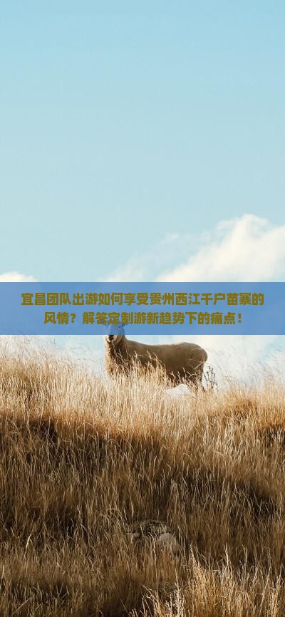 宜昌团队出游如何享受贵州西江千户苗寨的风情？解答定制游新趋势下的痛点！
