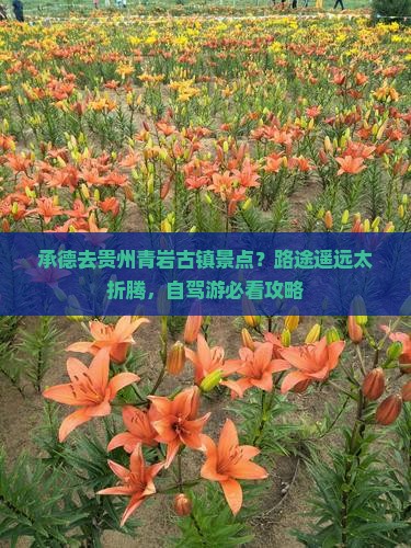 承德去贵州青岩古镇景点？路途遥远太折腾，自驾游必看攻略