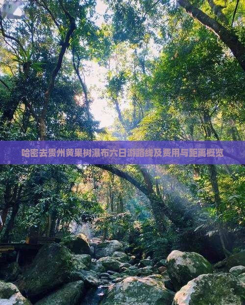 哈密去贵州黄果树瀑布六日游路线及费用与距离概览