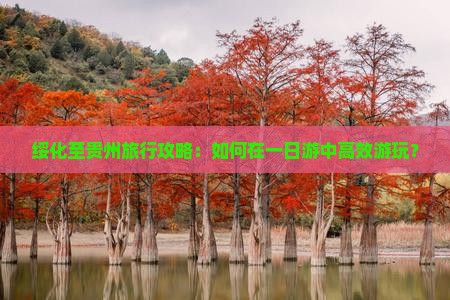 绥化至贵州旅行攻略：如何在一日游中高效游玩？