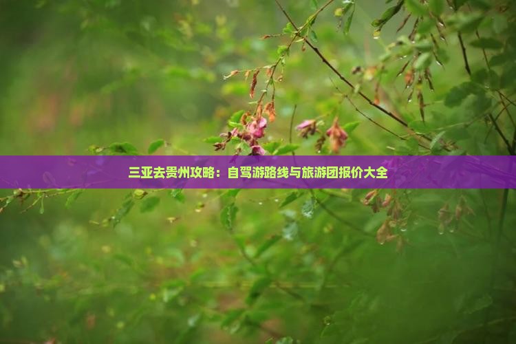 三亚去贵州攻略：自驾游路线与旅游团报价大全