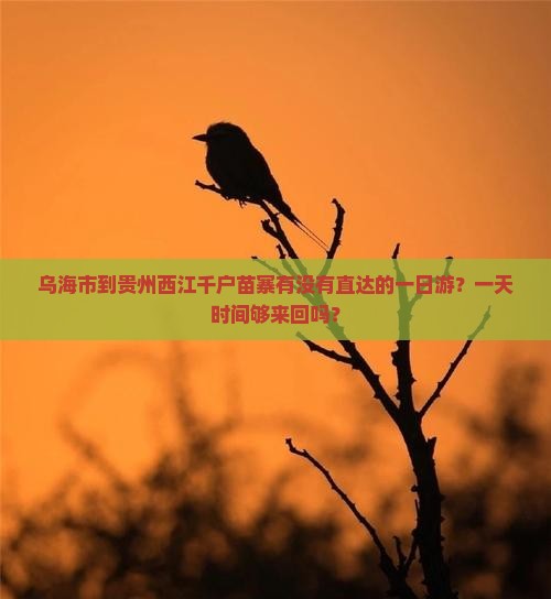 乌海市到贵州西江千户苗寨有没有直达的一日游？一天时间够来回吗？