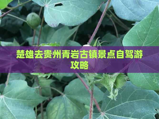 楚雄去贵州青岩古镇景点自驾游攻略