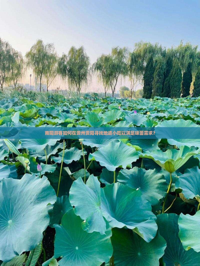 南阳游客如何在贵州贵阳寻找地道小吃以满足味蕾需求？