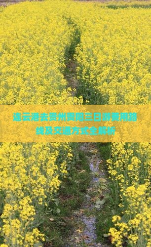 连云港去贵州贵阳三日游费用路线及交通方式全解析